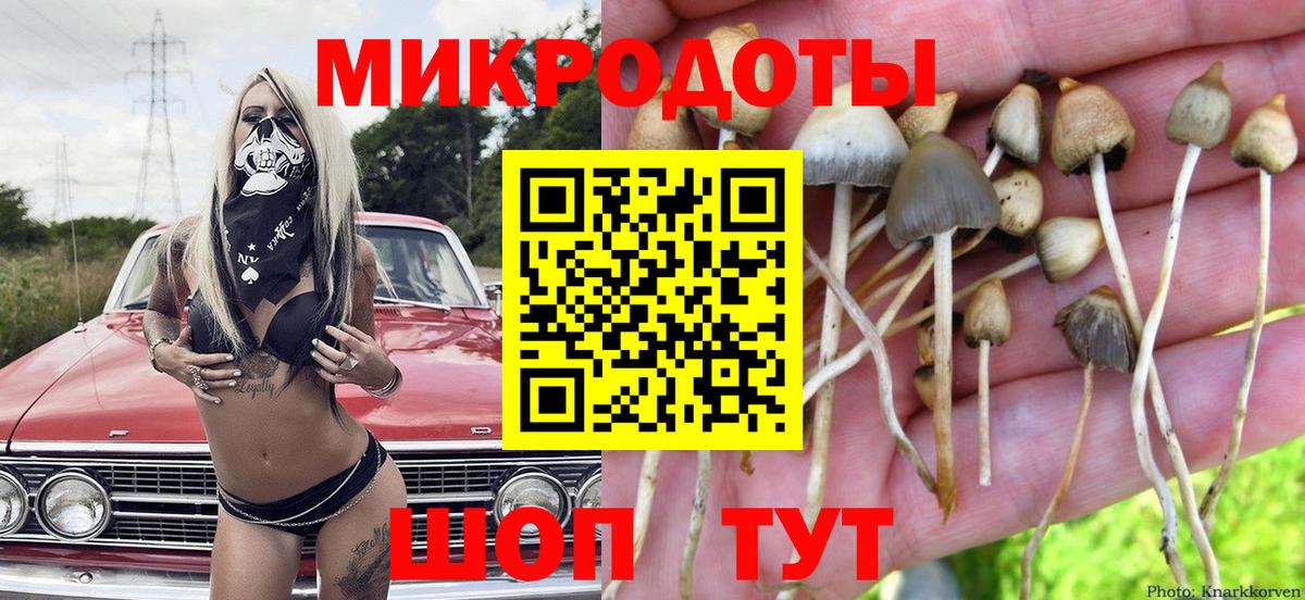 Псилоцибиновые грибы Cubensis  Вход с VPN  Соль-Илецк 